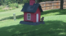 /Birds//Thumbs//found20250718-142154.png 