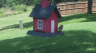 /Birds//Thumbs//found20250718-142159.png 