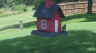 /Birds//Thumbs//found20250718-142209.png 