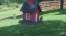 /Birds//Thumbs//found20250718-142229.png 