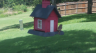 /Birds//Thumbs//found20250718-142409.png 