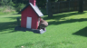 /Birds//Thumbs//found20250719-103021.png 