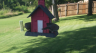 /Birds//Thumbs//found20250719-173623.png 