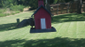 /Birds//Thumbs//found20250725-124326.png 