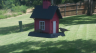 /Birds//Thumbs//found20250725-130337.png 