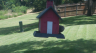 /Birds//Thumbs//found20250725-130746.png 