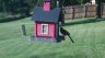 /Birds//Thumbs//found20250725-185449.png 