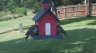 /Birds//Thumbs//found20250801-151008.png 