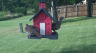 /Birds//Thumbs//found20250801-182604.png 