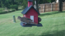 /Birds//Thumbs//found20250801-182626.png 