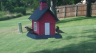 /Birds//Thumbs//found20250802-181107.png 