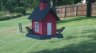 /Birds//Thumbs//found20250802-181111.png 