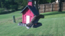 /Birds//Thumbs//found20250802-190343.png 