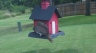 /Birds//Thumbs//found20250803-112730.png 
