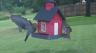 /Birds//Thumbs//found20250803-145349.png 