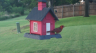 /Birds//Thumbs//found20250803-195442.png 