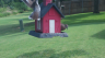 /Birds//Thumbs//found20250804-105543.png 