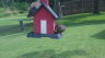 /Birds//Thumbs//found20250804-105551.png 