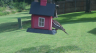 /Birds//Thumbs//found20250804-110301.png 