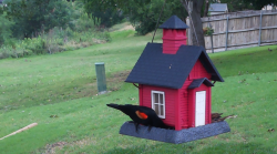 /Birds/Thumbs/20240528/found20240528-172759.png 
