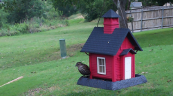/Birds/Thumbs/20240528/found20240528-190120.png 