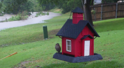 /Birds/Thumbs/20240528/found20240528-220411.png 