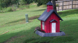 /Birds/Thumbs/20240531/found20240531-013404.png 