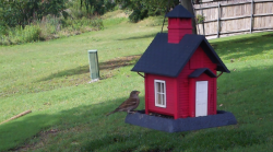 /Birds/Thumbs/20240531/found20240531-021107.png 