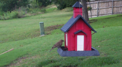 /Birds/Thumbs/20240601/found20240601-174628.png 