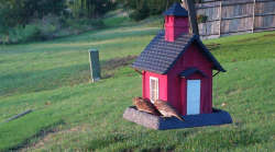 /Birds/Thumbs/20240601/found20240601-200234.png 