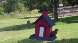 /Birds/Thumbs/20240616/found20240616-130250.png 
