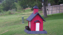 /Birds/Thumbs/20240616/found20240616-143338.png 