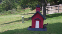 /Birds/Thumbs/20240616/found20240616-145202.png 
