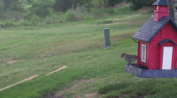 /Birds/Thumbs/20240621/found20240621-065411.png 