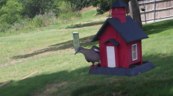 /Birds/Thumbs/20240621/found20240621-141454.png 