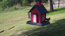 /Birds/Thumbs/20240624/found20240624-173832.png 
