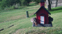 /Birds/Thumbs/20240624/found20240624-185118.png 