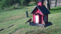 /Birds/Thumbs/20240624/found20240624-190424.png 