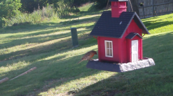 /Birds/Thumbs/20240626/found20240626-084505.png 