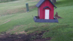 /Birds/Thumbs/20240629/found20240629-064738.png 