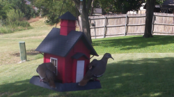 /Birds/Thumbs/20240703/found20240703-170120.png 