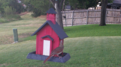 /Birds/Thumbs/20240704/found20240704-172924.png 