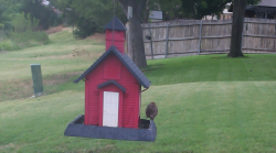 /Birds/Thumbs/20240705/found20240705-182030.png 