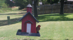 /Birds/Thumbs/20240706/found20240706-120912.png 