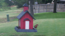 /Birds/Thumbs/20240708/found20240708-135212.png 