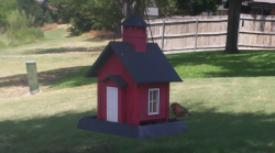 /Birds/Thumbs/20240716/found20240716-141842.png 