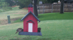 /Birds/Thumbs/20240717/found20240717-134525.png 