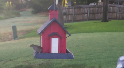 /Birds/Thumbs/20240718/found20240718-072236.png 