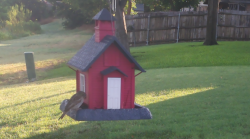 /Birds/Thumbs/20240718/found20240718-074737.png 