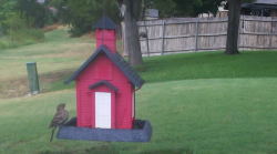 /Birds/Thumbs/20240718/found20240718-145055.png 